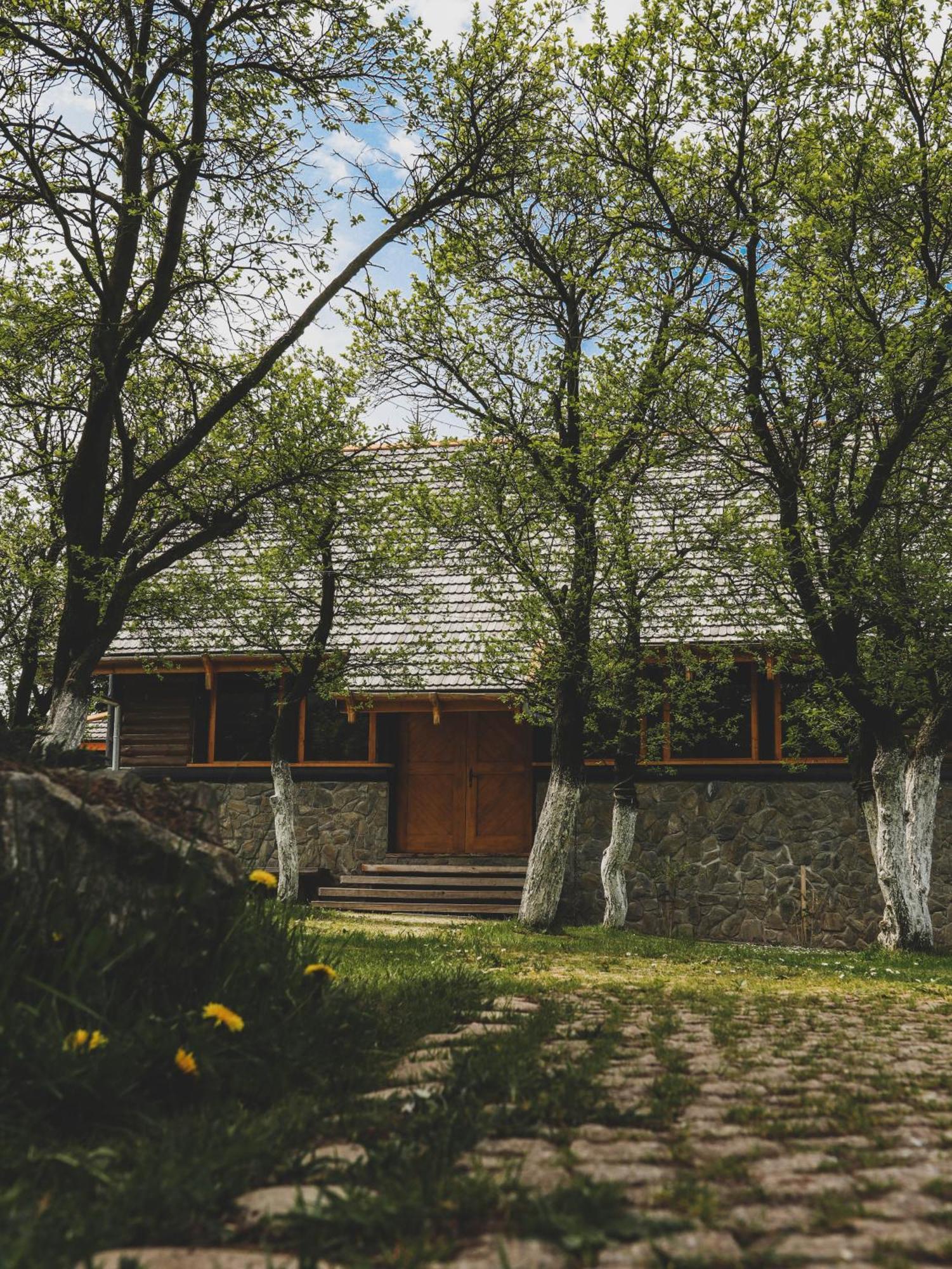 Karkonoska Drewniana Chata Kamienna Gora Extérieur photo